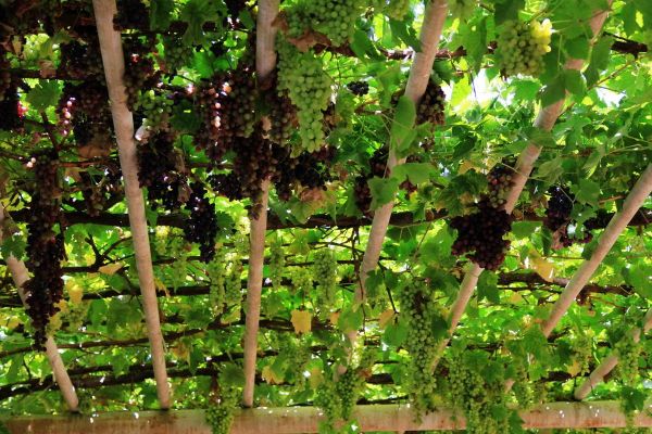 西域路上變幻美景