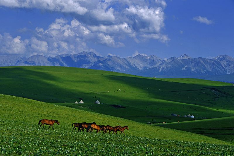 那拉提風(fēng)景區(qū)