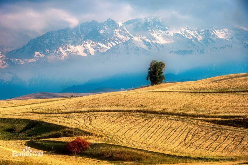 江布拉克風景區(qū)