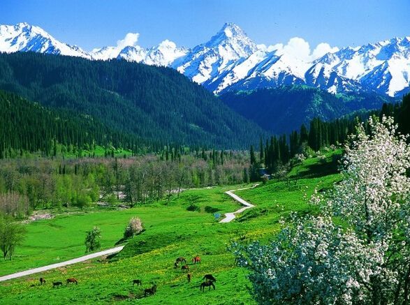 庫爾德寧風景區(qū)