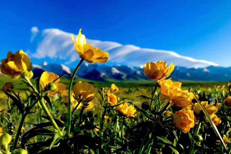 行攝伊犁：喀拉峻、天鵝湖、沙漠胡楊深度9日