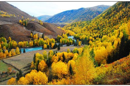 九月傳奇3：喀納斯、禾木、可可托海、五彩灣、胡楊七日行