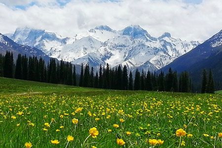 驚奇體驗(yàn)：伊犁河谷、喀納斯湖、可可托海8日自由行