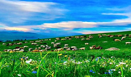 環(huán)游喀伊：喀納斯、禾木、那拉提、賽里木湖、巴音布魯克、獨(dú)庫(kù)公路 9日游